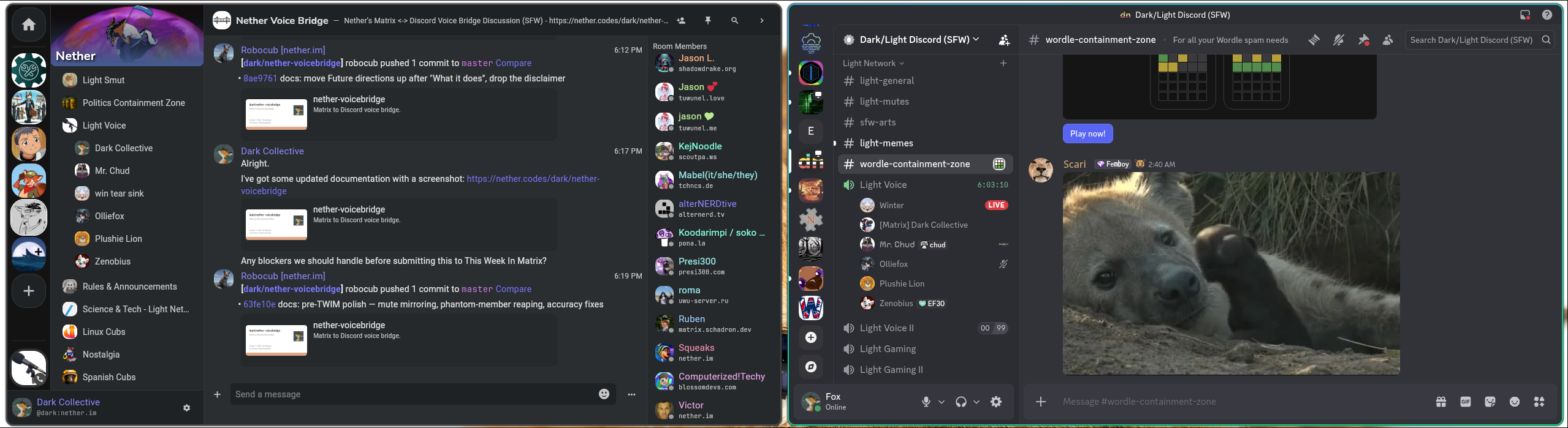 Side by side: a Matrix call on the left and the bridged Discord voice channel on the right. Discord speakers appear as named participants in the Matrix call, and Matrix speakers appear as named participants in Discord.