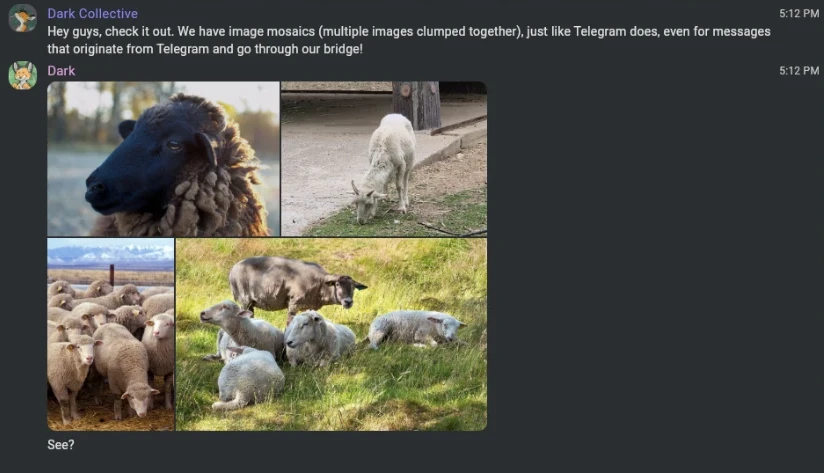 Vommet showing four sheep photos posted together as one compact two-by-two mosaic, with the message See? underneath